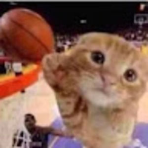 Meet your Posher, Julio